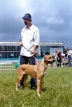 Lublin 2003