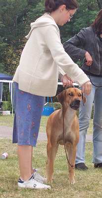 Chorzw 2004